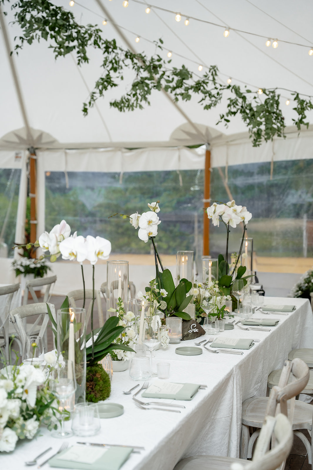 Dinner under the tent